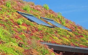 Osbaldwick living roof systems