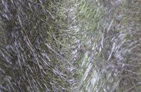 Osbaldwick fibreglass roof work